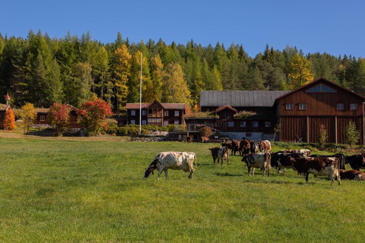 Romenstad Hytter Rendalen Exterior foto